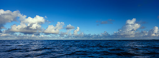 Michael Berman Photography